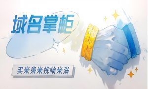 帕米洛业务范围-帕米洛